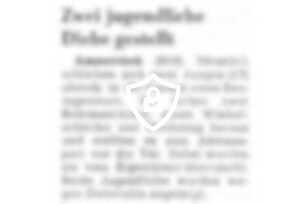 Zwei jugendliche Diebe gestellt
