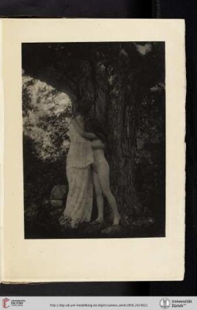 [Alice Boughton, IV. Nature, photogravure]