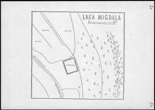 Laka Migdala 21
