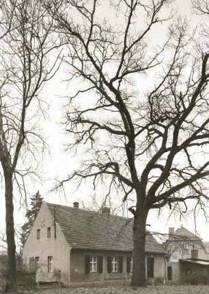 Belgern, Kirchstraße. Kantorhaus der Bartholomäuskirche (1801/1850). Straßenansicht