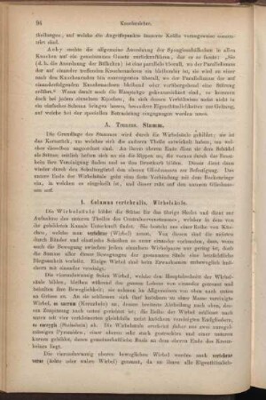 A. Truncus. Stamm.