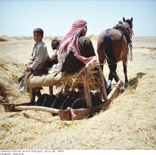 Syrien: Drescharbeiten