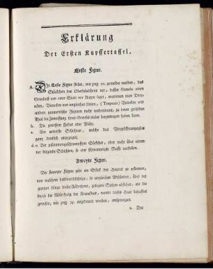 Erklärung Der Ersten Kupffertaffel.