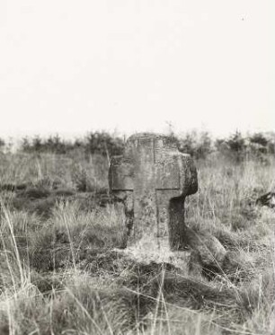Steinkreuz : Dippoldiswalder Heide, Steinkreuz mit Flachrelief eines lateinischen Kreuzes (D 89) in der Forstabteilung 18