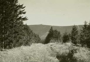 Fichtelberg : Fichtelberg von Westen. Blick vom Proviantweg über das obere Tal der Mittweida gegen den Vorderen Fichtelberg
