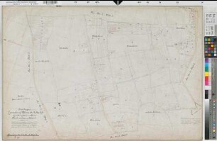 Rheine (Rheine), Zusammenlegung Rheine, Urkarte I Rheine Stadt Flur3,8