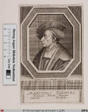 Bildnis Martin Tucher