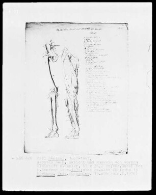 Anatomische Studien — Rechtes Bein, Skelett und Muskeln von vorne, Folio 13