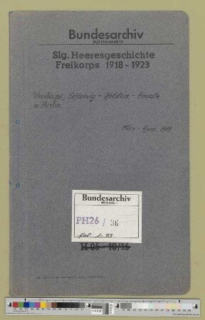 Freikorps Schlewig-Holstein: Bd. 2