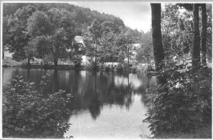Oelsen-Bienhof (Bad Gottleuba-Berggießhübel-Oelsen). Naturschutzgebiet Bienhof. Blick über den Teich am Mordgrundbach zum Hammergut (Erholungsheim Landesverein Sächsischer Heimatschutz)