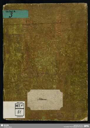 Adamo - MT.4.81