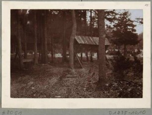 Futterkrippe im Wald im Wildgehege in Moritzburg bei Dresden