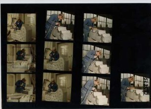 Zeidler & Wimmel, 1985