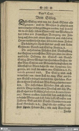 Das V. Cap. Vom Schlag