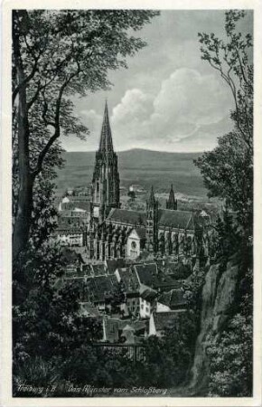 Das Freiburger Münster