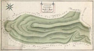 Geometrischer Plan über den im Freiaemter Bann liegenden herrschaftl. Wieden-Wald