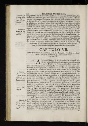 Capitulo VII.