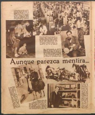 Aunque parezca mentira... [Fotografías]