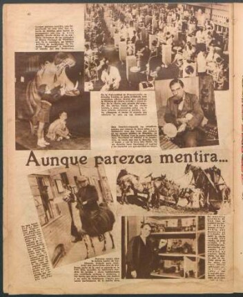 Aunque parezca mentira... [Fotografías]