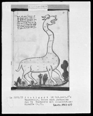 Jean de Mandeville, Reise nach Jerusalem — Giraffe, Folio 79recto