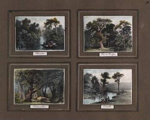'Charenton', Landschaftsbild; aquarellierte Lithographie 'Fontainebleau'; Teilansicht des Waldes; aquarellierte Lithographie Paris - 'Bois de Boulogne', Teilansicht des Waldes; aquarellierte Lithographie 'Versailles', Landschaftsbild mit Wäscherinnen am Fluß; aquarellierte Lithographie