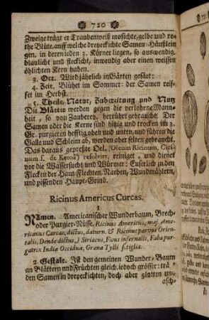 720-731, Ricinus Americus Curcas - Rubus batus