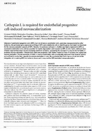 Cathepsin L is required for endothelial progenitor cell-induced neovascularization