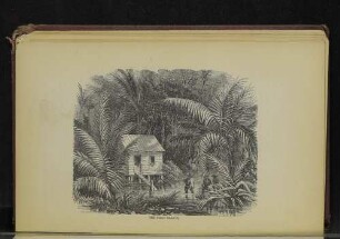 The first shanty.