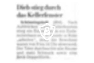 Dieb stieg durch das Kellerfenster