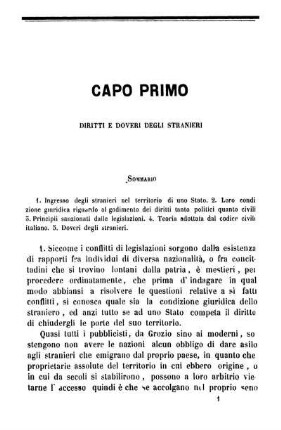 Capo Primo Diritti E Doveri Degli Stranieri