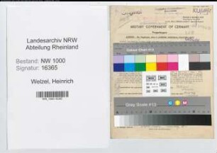 Entnazifizierung Heinrich Welzel, geb. 09.10.1896 (Buchhalter)