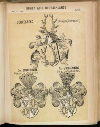 Taf. 86. Schaesberg. Stmwppn. (Reitersbach.) - Gr. v. Schaesberg. -  v. Schaesberg.