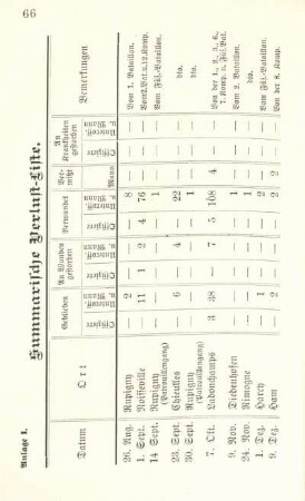Anlage I. Summarische Verlust-Liste.