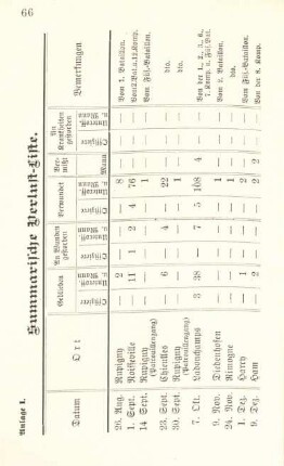 Anlage I. Summarische Verlust-Liste.