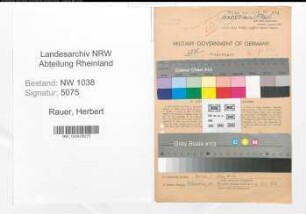 Entnazifizierung Herbert Rauer , geb. 17.05.1901 (Ingenieur)
