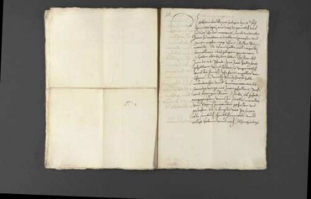 Pfalzgraf Wolfgang bittet hinsichtlich seines Hofmeisters Heinrich von Ulm, der mit Begleitern nach Frankreich geschickt worden war und dort bei einem Kloster nahe Toul in einen Hinterhalt geriet und getötet wurde, um Rat bei der Verfolgung der Täter.
