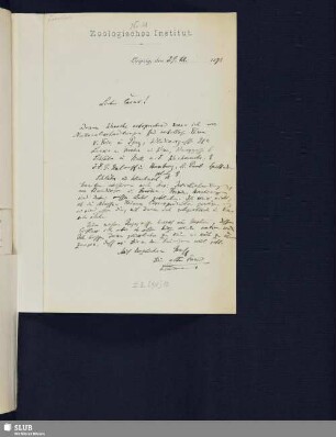 Nr. 21. 29.11.1893