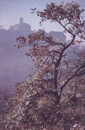 Eisenach. Blick zur Wartburg