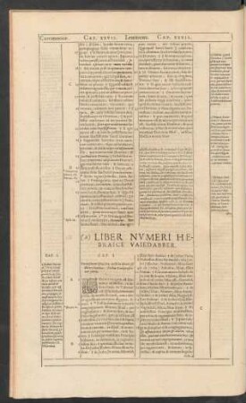 (a) Liber Numeri Hebraice Vaiedabber