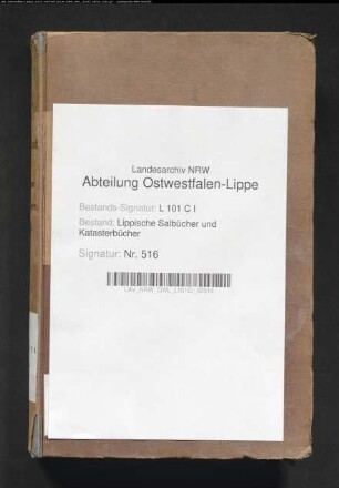 Salbuch der Stadt Blomberg von 1854, Bd. 3 (Duplikat)