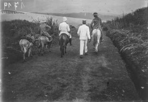 Ausflug mit Maultieren (Sammlung Hans Meyer - Herzog-Adolf-Friedrich-Expedition 1907–1908)