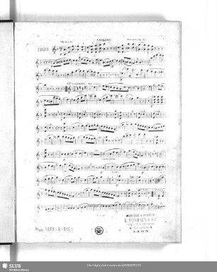 Violino