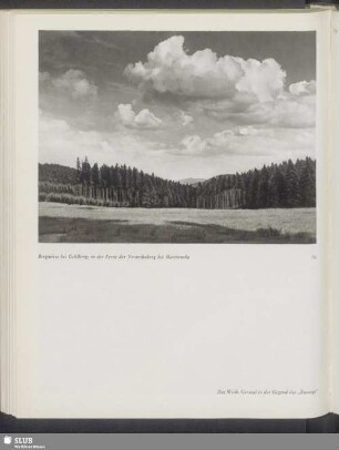 Bergwiese bei Gehlberg; in der Ferne der Veronikaberg bei Martinroda