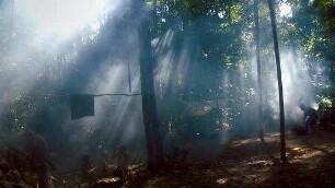 Song from the Forest
