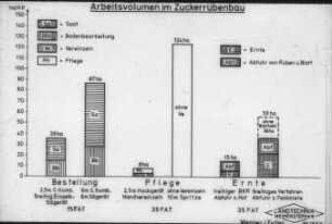 Arbeitsvolumen im Zuckerrübenbau