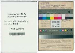 Entnazifizierung Wilhelm Wolf , geb. 17.04.1899 (Elektromeister)