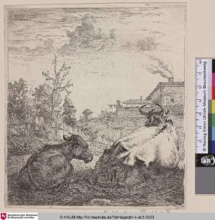 [The Cow and the Calf; Cow and Calf; La vache et le veau; Kuh und Kalb]