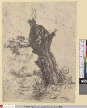 [Der Hl. Hieronymus neben einer Kopfweide; St. Jerome Beside a Pollard Willow, Looking Down; Saint Jerôme]