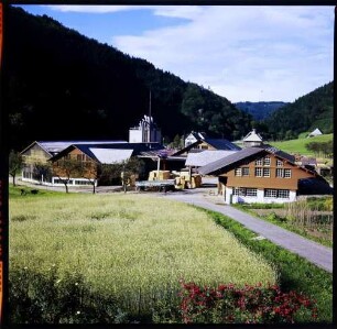 Wagensteig: Sägewerk Erwin Dold, Aussicht vom Wohnhaus