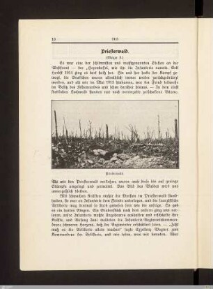 Priesterwald